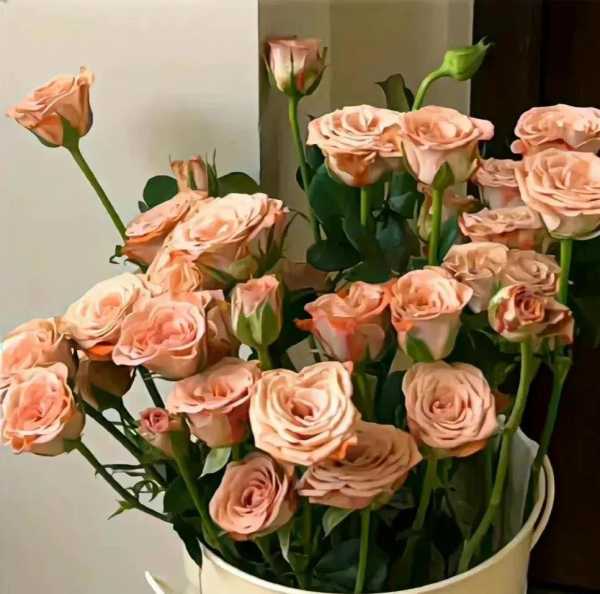 想谈恋爱的文案朋友圈（表示想脱单的高级句子）