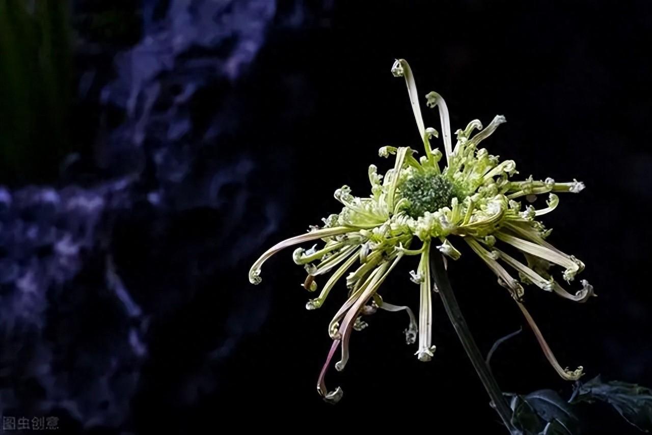 爸爸走了女儿的悲痛文案(悼念逝者的句子的短句)