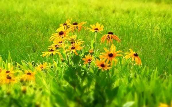 打动人心的销售文案广告语(销售短句干净治愈阳光)