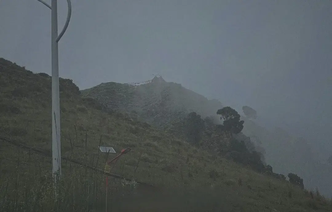 抖音神评论文案短句幽默（万能的评论句子摘抄）