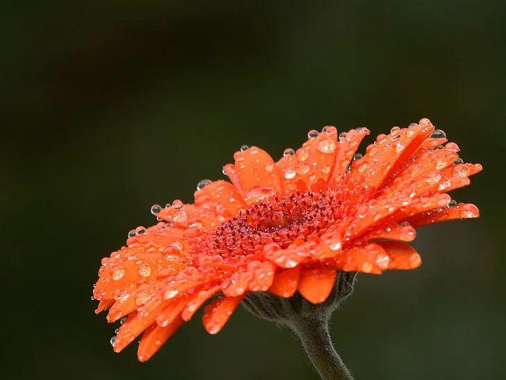 下雨的文案朋友圈唯美短句（雨天暖心说说心情短语）