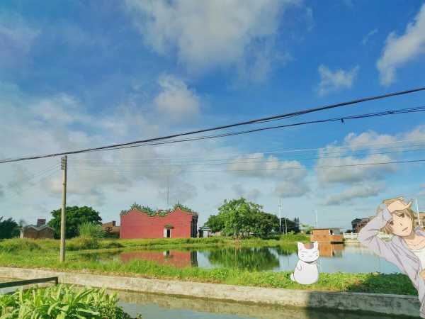 热门励志书单情感文案(情感书单文案爆款素材)