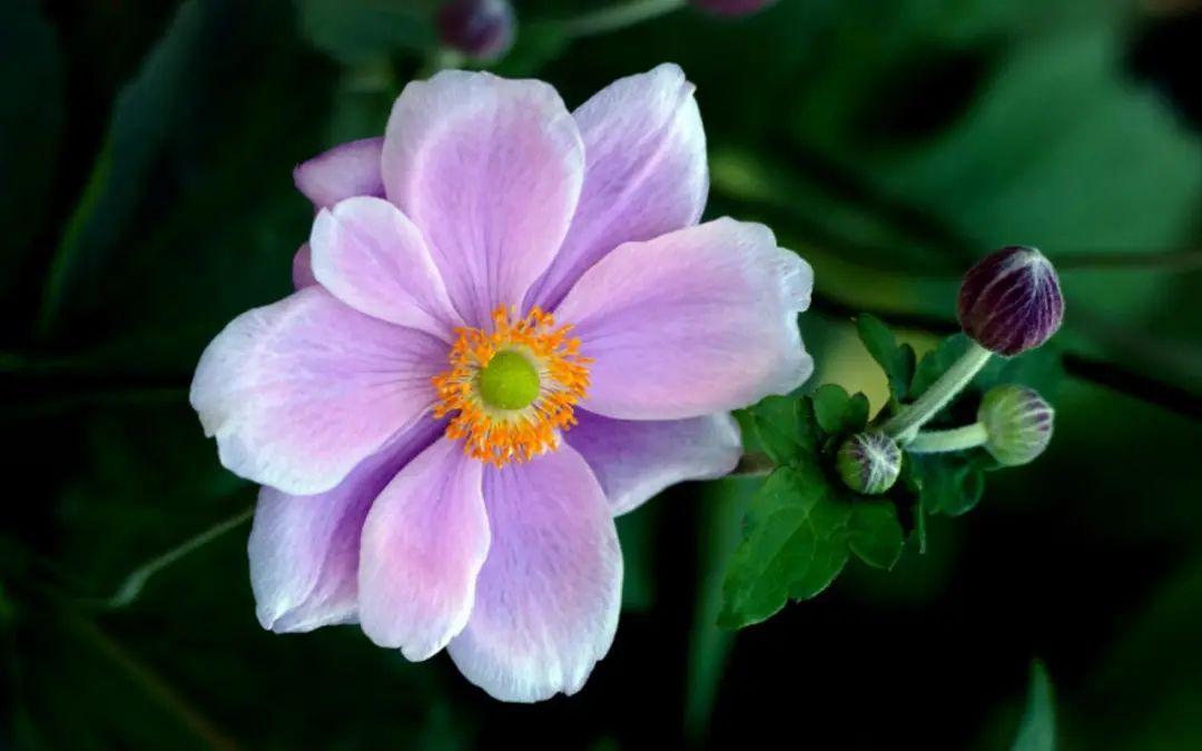 吸引人的美发文案朋友圈（美发店朋友圈宣传文案）