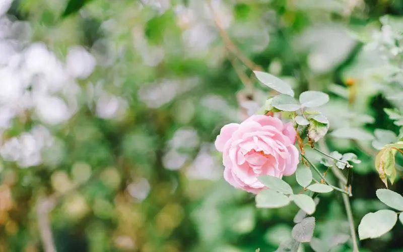 烧烤发朋友圈的精美句子（吃着烧烤的心情句子）