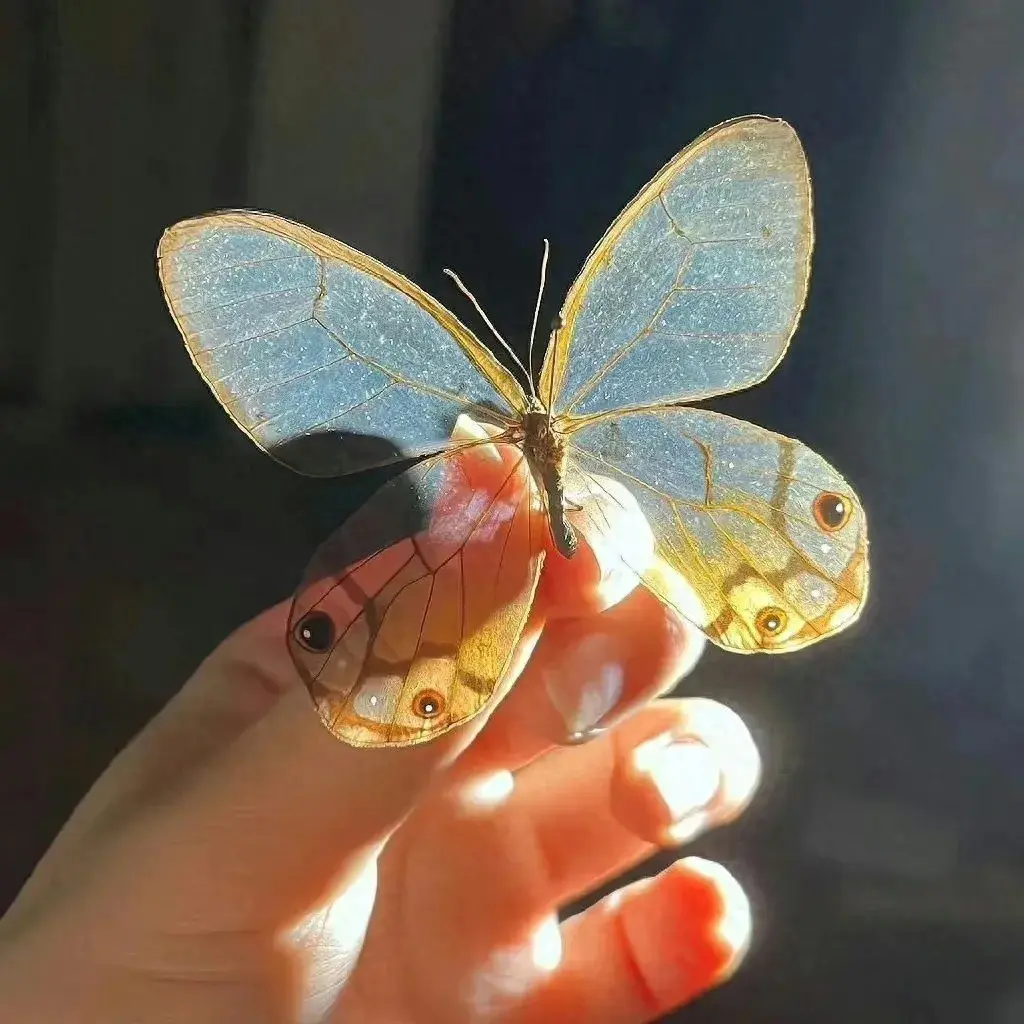 失恋的文案短句干净治愈（朋友圈说说失恋心情短语）