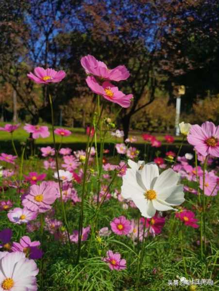 朋友圈签名文案简短有深意(适合微信个性签名句子)