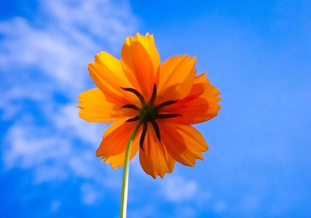 记录美好时光的文案发圈（生活美好时光文艺句子）