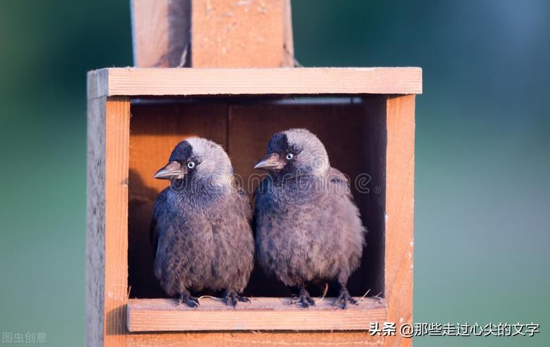 容易上热门的文案搞笑句子(有趣吸引人的文案)