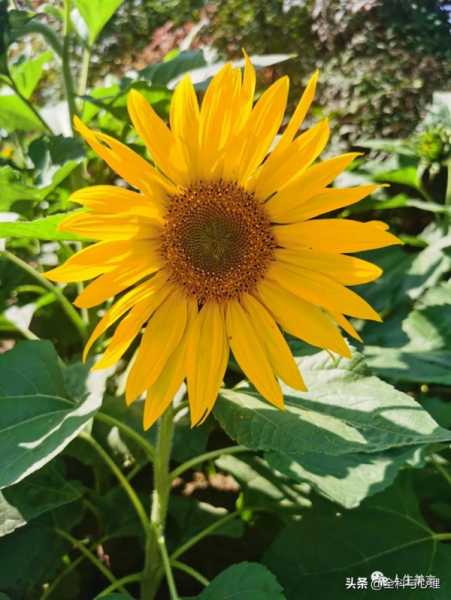 高质量文案短句励志朋友圈（走心文案高质量的句子）