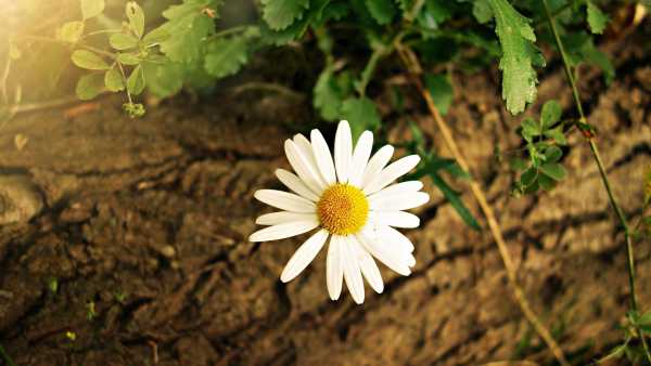 文案短句走心入心句子（阳光励志正能量的短句）