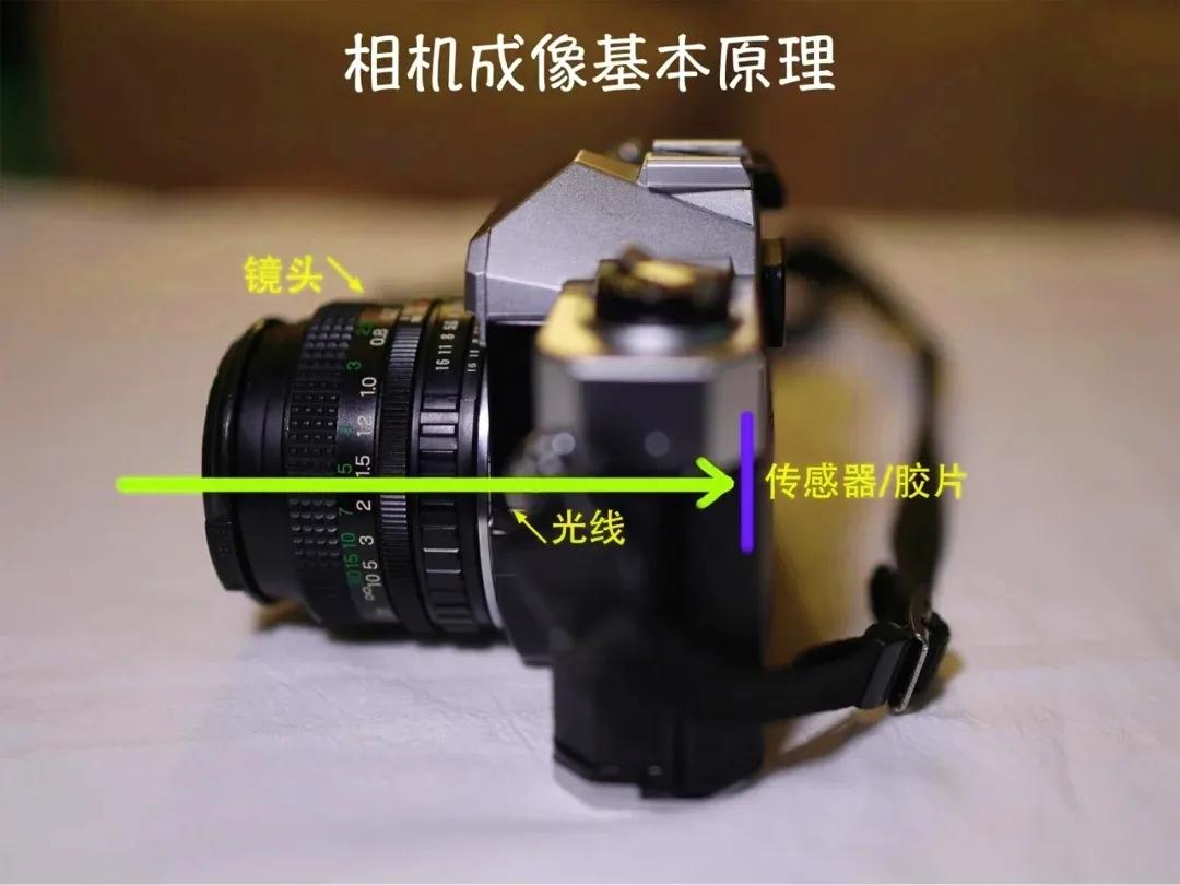 卡片机和微单的区别（带你了解相机的类型）