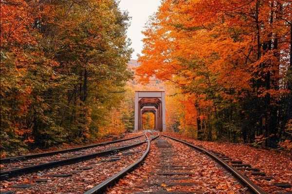 适合风景的文案唯美简单（沿途风景说说心情短语）