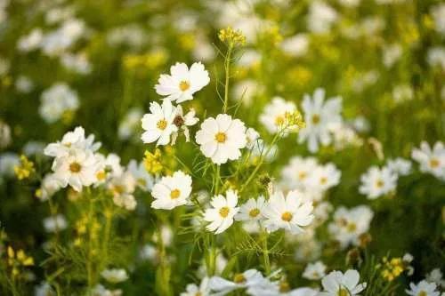 适合风景的文案朋友圈（晒风景的温柔治愈系句子）