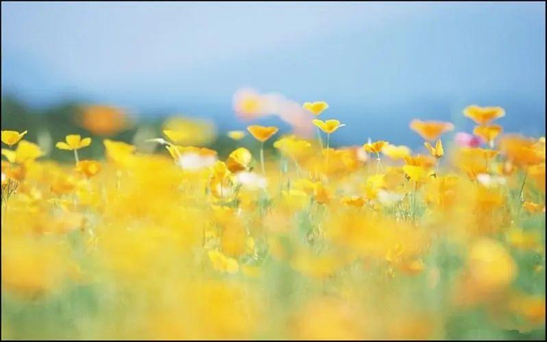 老公生日快乐文案朋友圈（20句老公生日创意句子）