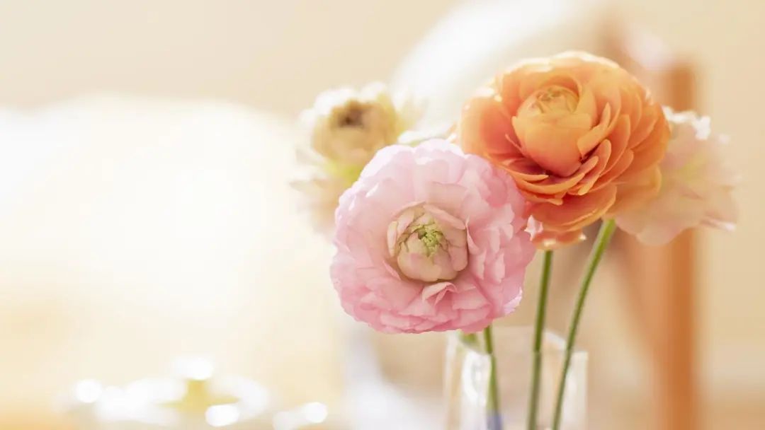 装修发朋友圈文案吸引人(关于装修发朋友圈的语录)