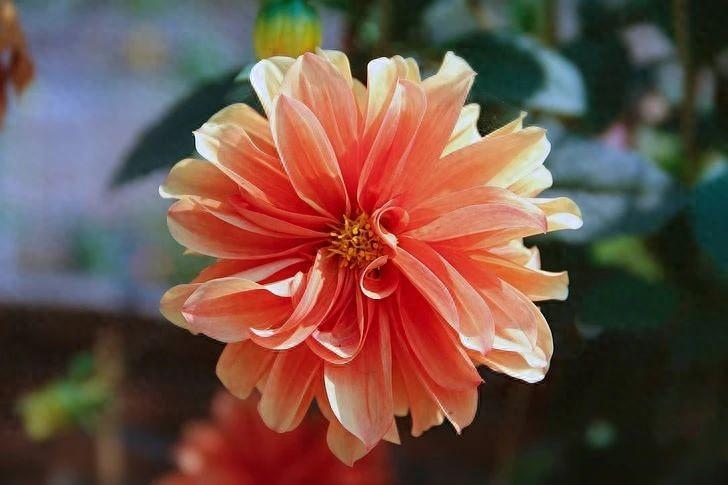 我想你了高级文案朋友圈（关于思念的说说文案）