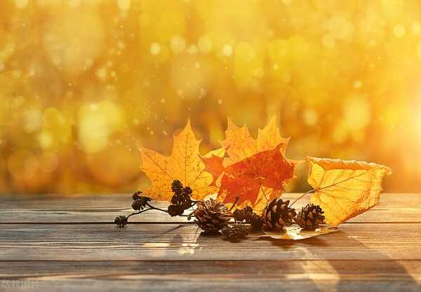 晒自己的视频的唯美句子(晒自己视频的幽默句子)