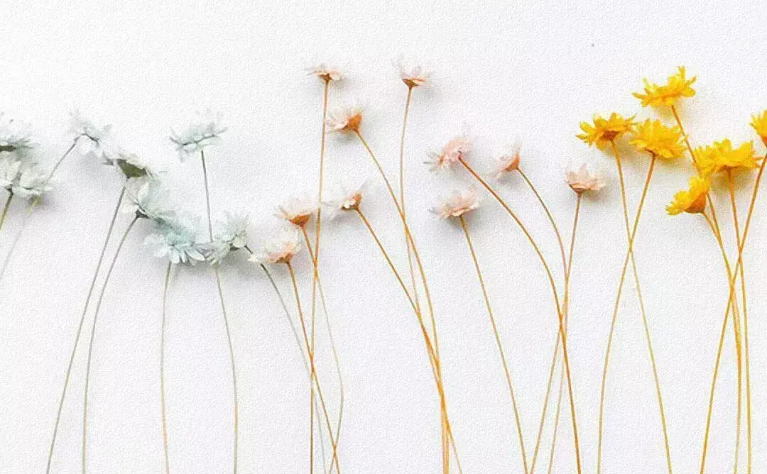 旅游文案发朋友圈唯美句子(旅行简短走心的文案)