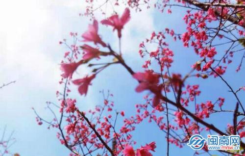 公布对象的文案浪漫句子（领证官宣恋爱朋友圈说说 ）