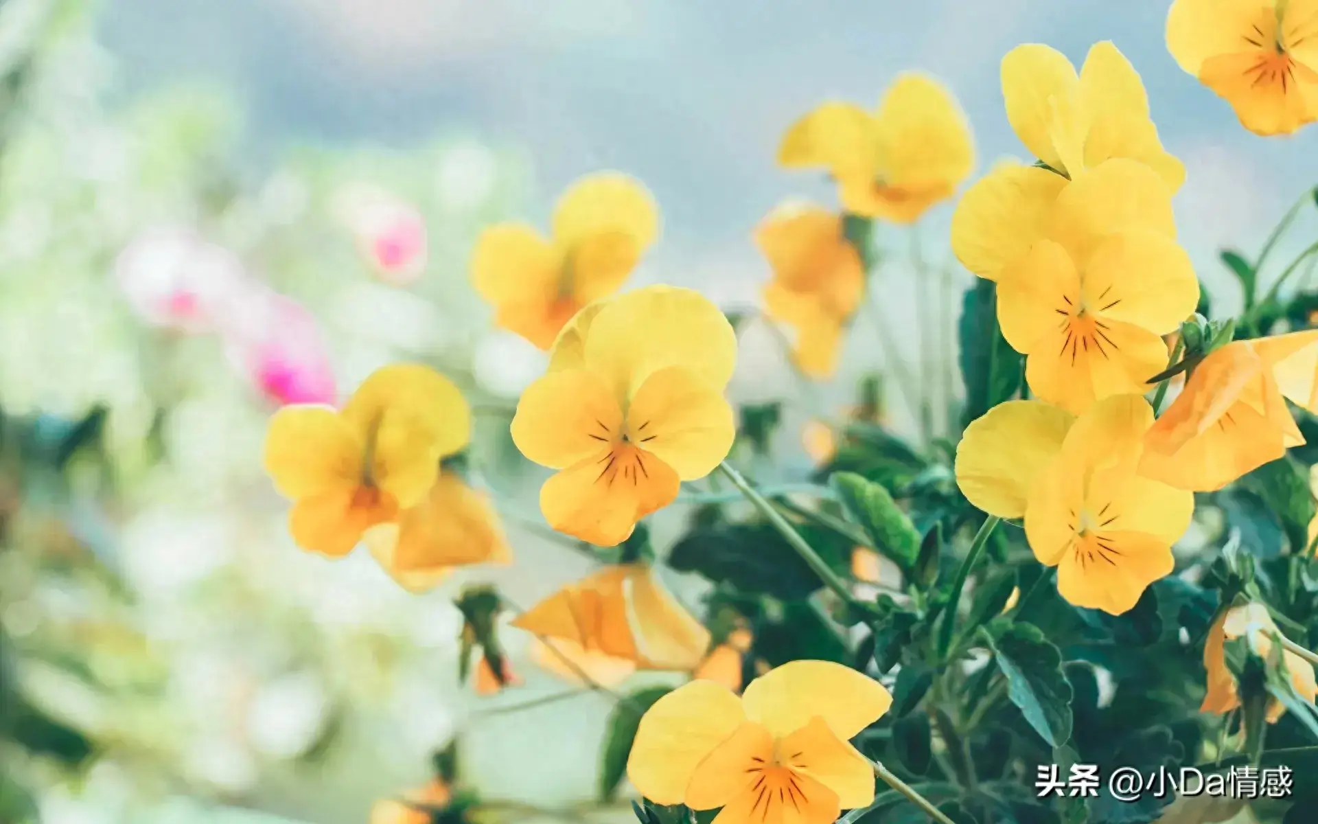 一个人的高级文案简短治愈(独处的说说心情语录)