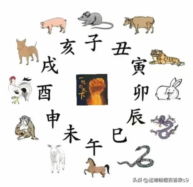 羊与鼠是相冲还是相害（12生肖中不合适的属相组合）