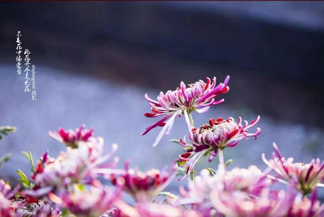 恋爱一周年文案朋友圈短文（唯美浪漫到爆的说说）