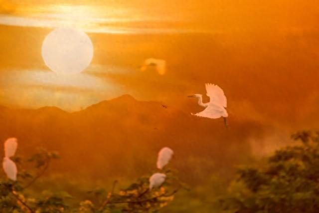 简短的文案唯美一点治愈（爱情唯美简短文案伤感）