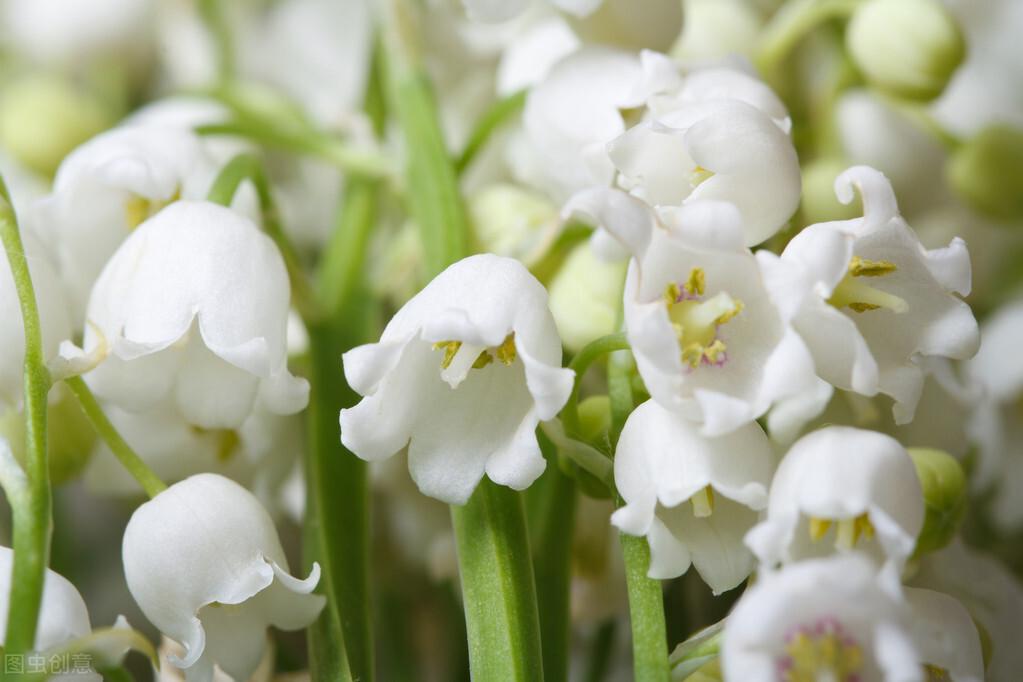 希望我们越来越好的文案（充满睿智的朋友圈文案）