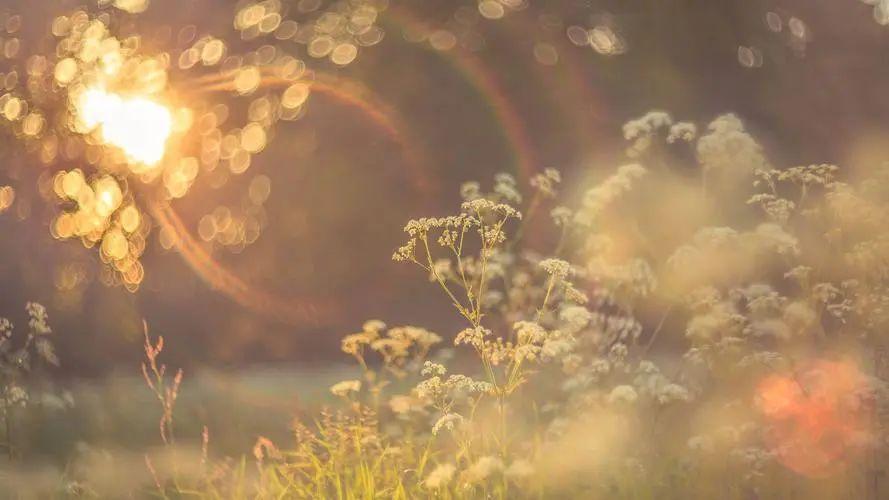 朋友圈吸引客户的文案(朋友圈成交晒单文案)