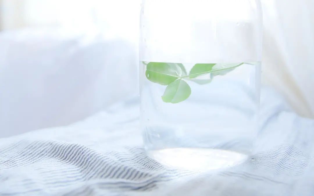 最吸引人的装修朋友圈说说(装修完工最美精辟短句)