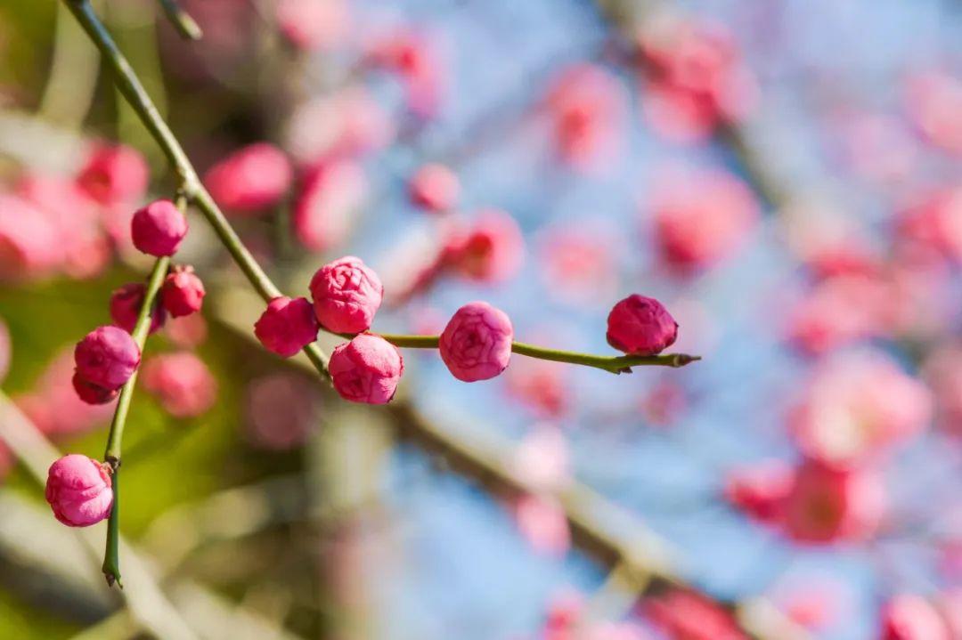 小笑话段子超级爆笑大全（幽默风趣冷笑话短句）