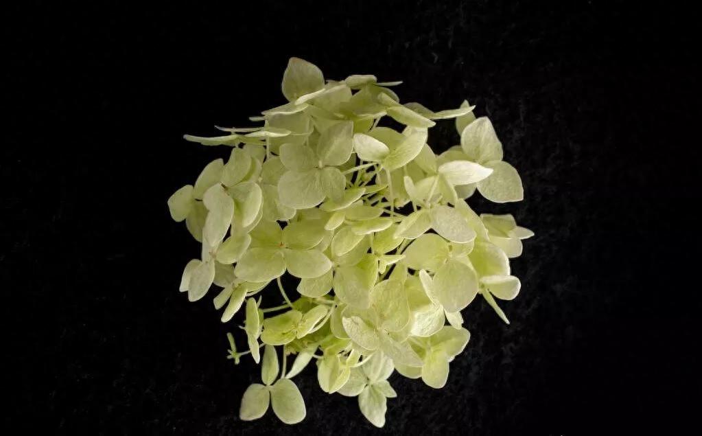 励志简短正能量励志文案（励志正能量朋友圈软文）