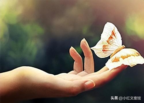 积极向上热爱生活的文案（正能量文案高质量走心文案）