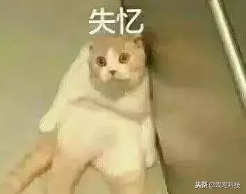 苹果钥匙串在哪里设置（iPhone钥匙串功能怎么用）