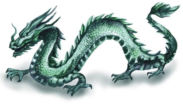 2024年属龙人的全年运势（2024年属龙百年难遇）