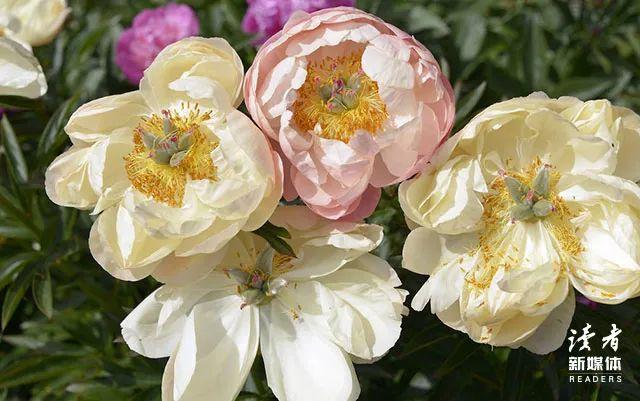 文案素材库大全温暖治愈（10条正能量文案朋友圈）