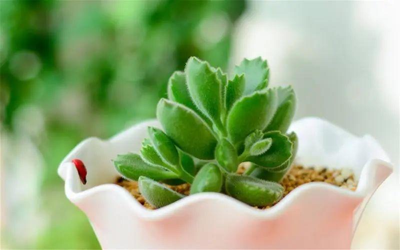 提车朋友圈文案低调（提新车发朋友圈语句搞笑）