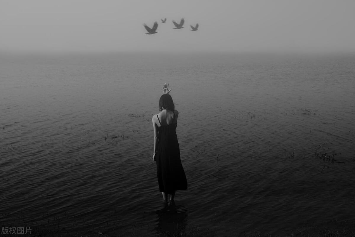 很拽的文案讽刺爱情短句（讽刺的情感文案扎心句子）