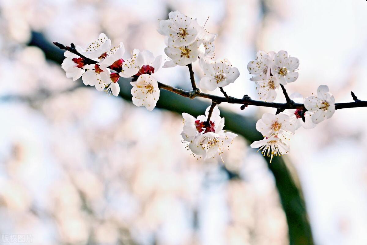 努力自律的文案励志话(高级自律且人间清醒的文案?)
