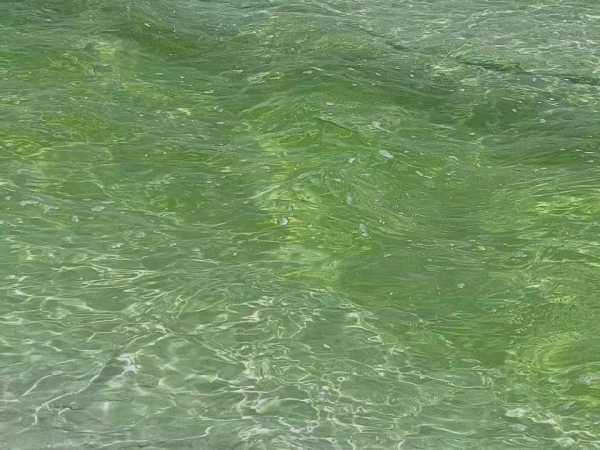 海边游玩的朋友圈文案（适合在海边发的说说短句）