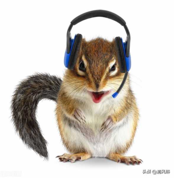 高质量拽姐文案快手短句（霸气超拽高冷吸引人句子）