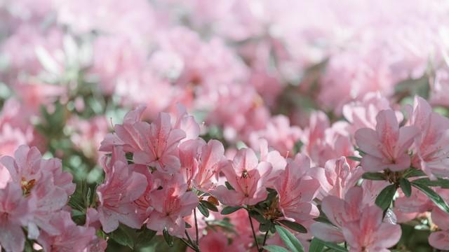 微信朋友圈文案素材说说（朋友圈被秒赞的配文搞笑）