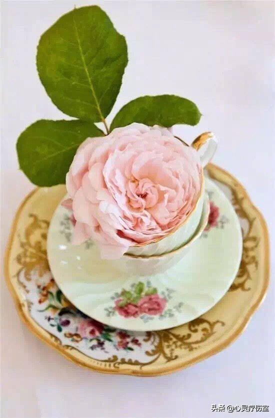 自己生日快乐怎么发朋友圈（暗示自己生日快乐配图）