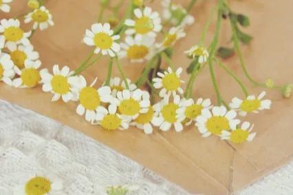 清晨文案阳光唯美句子(适合早上发的暖心句子)