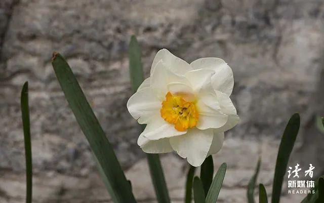 回忆童年的文案农村感慨说说（勾起农村儿时回忆句子）