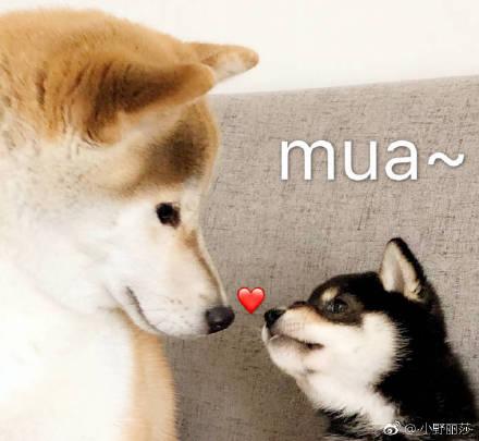 恋爱三周年文案简短发圈（结婚纪念日感人的说说）