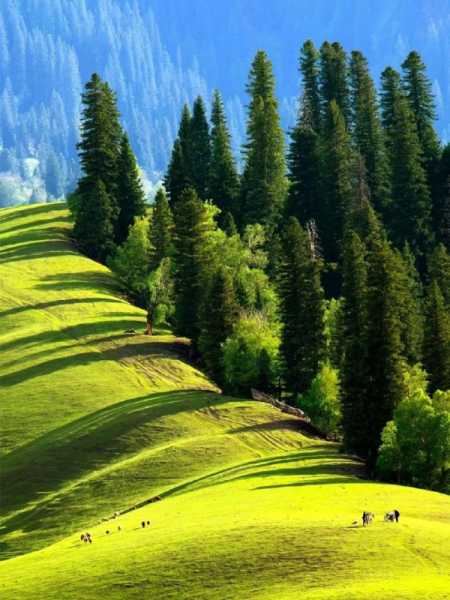 草原文案短句朋友圈治愈(去草原放飞心情的句子)