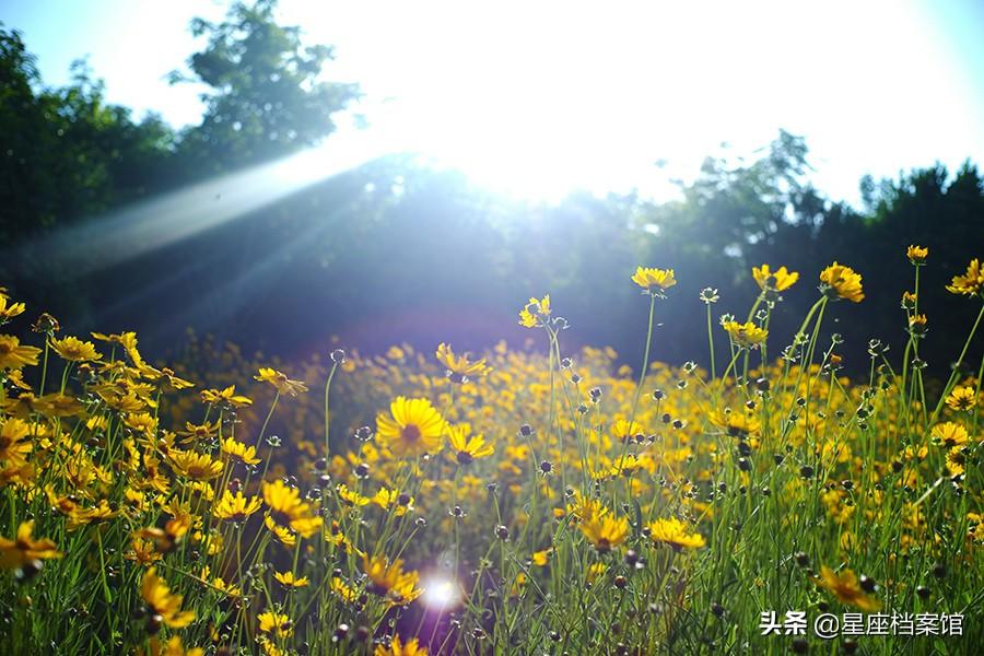 白羊座男生是不是变态（12星座拥有的变态特点）