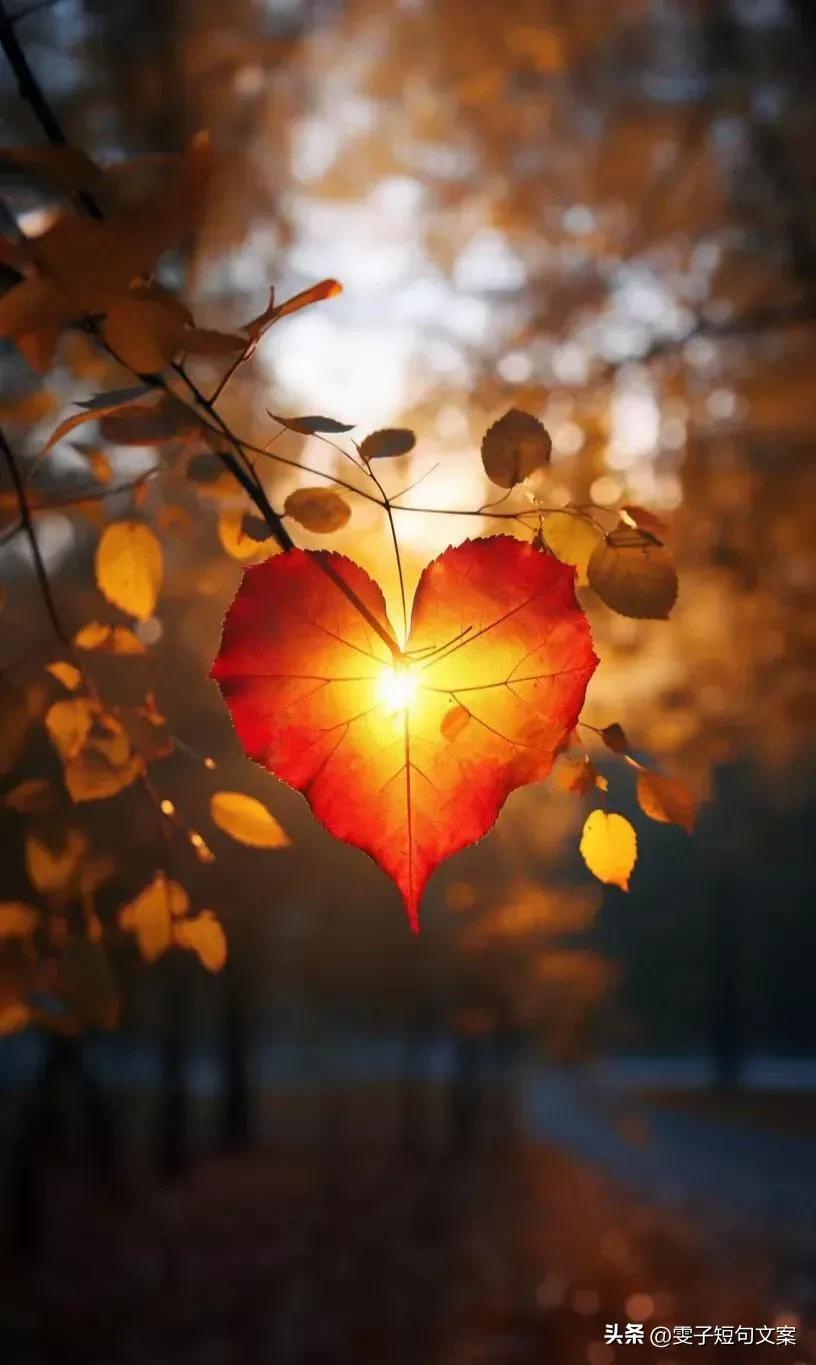 关于男朋友的文案搞笑（夸奖男朋友的彩虹屁文案）