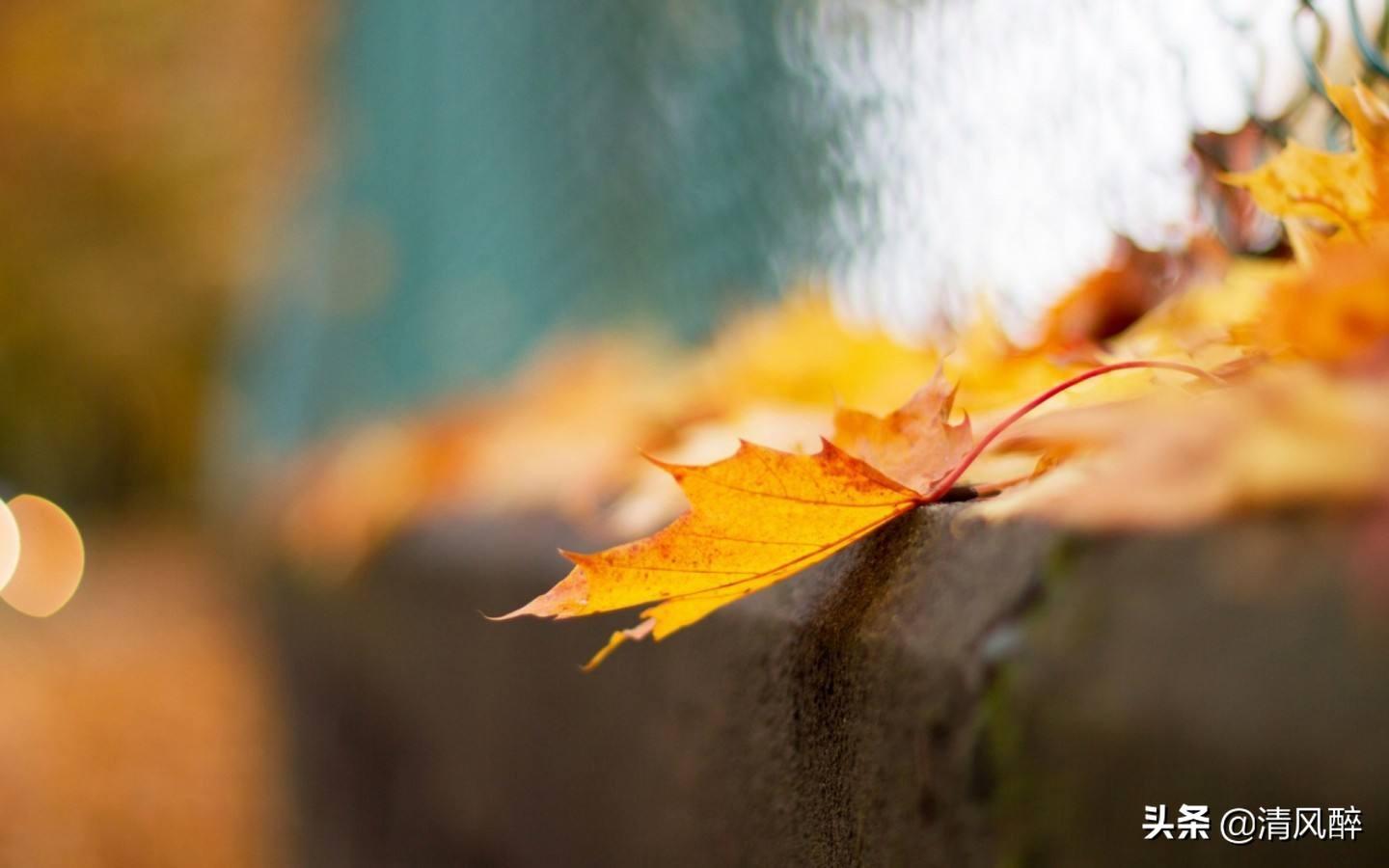 内涵拽句文案霸气发快手女（氛围感拉满的拽文案句子）